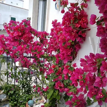 Ca Mea Alberobello